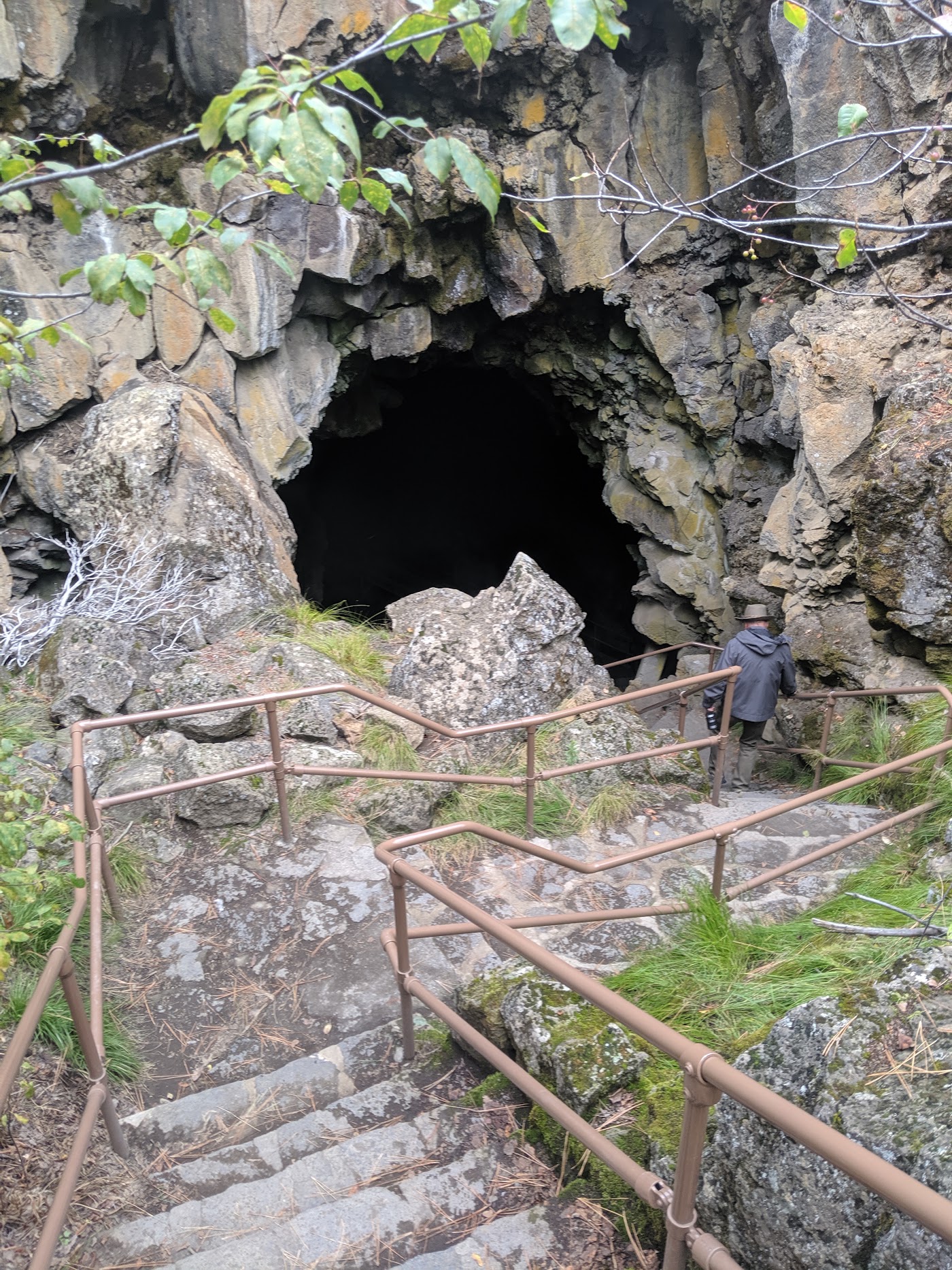 Explore the Lava River Cave