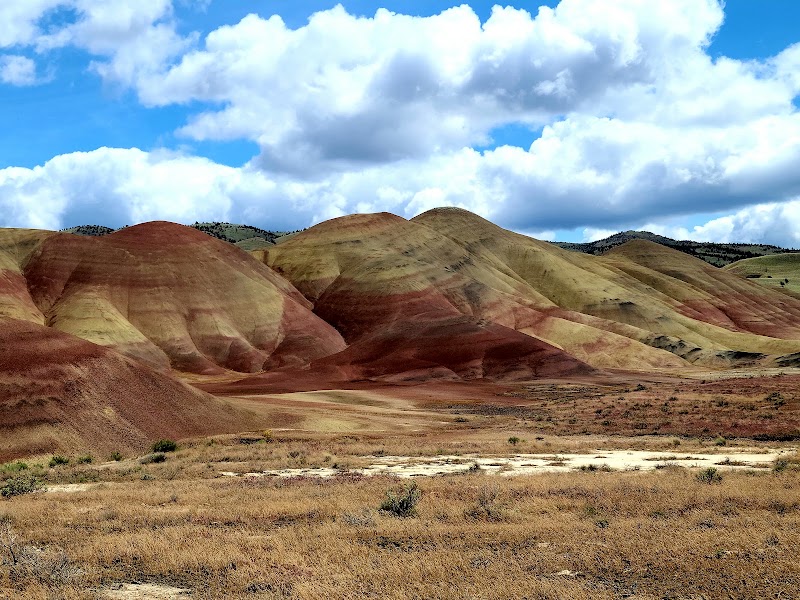 See the Painted Hills