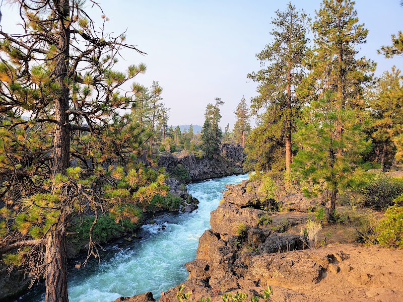 Explore Deschutes National Forest with dogs