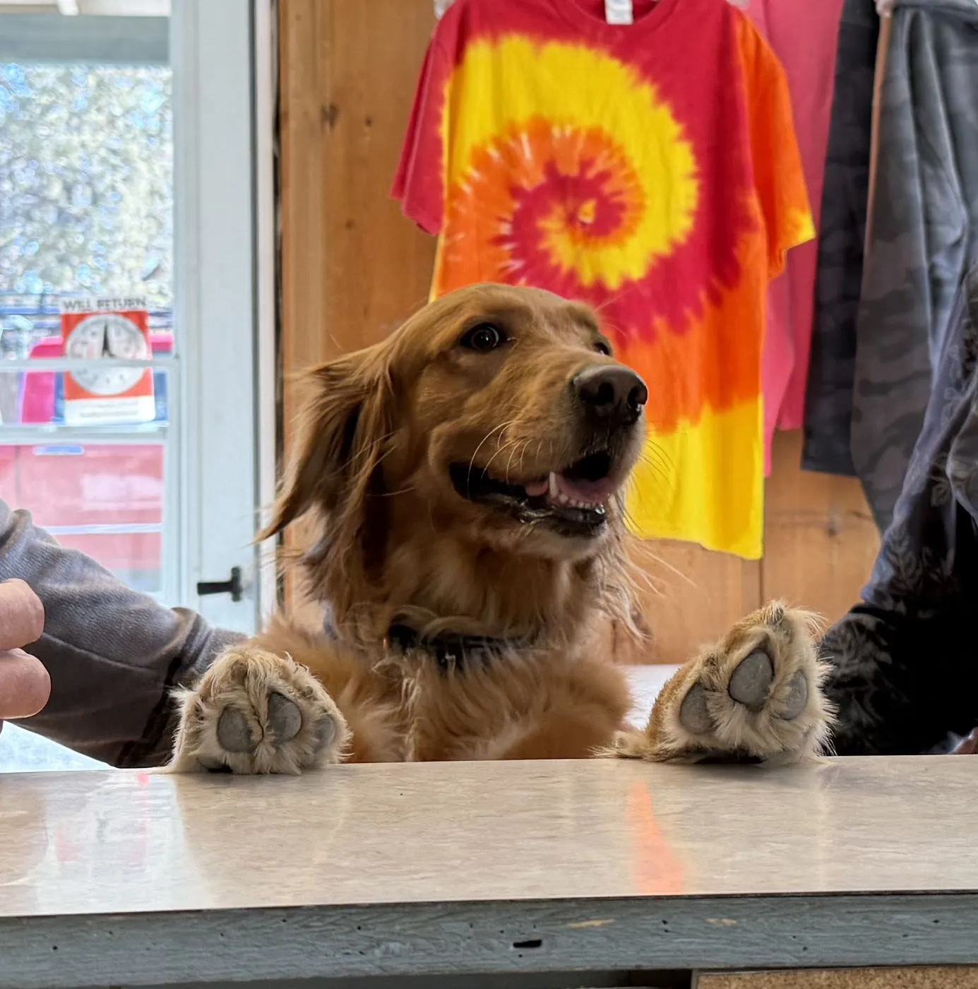 A friendly dog at Crooked River Ranch RV Park